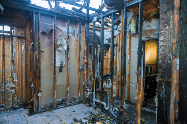 Professional Fire Damage Removal technician working in Pisgah, AL